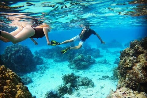 Mo'orea halvdagers privat tur med snorkling og cruise i lagunen