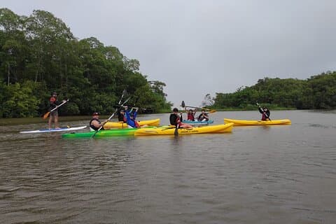 Kayaking Tour in Gandoca Lagoon throug mangrove forest