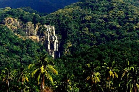 Mikumi Nationalpark & Udzungwa Wasserfälle 3 Tage Gruppentour
