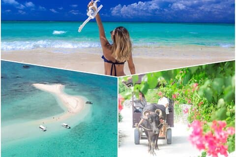 Ishigaki Phantom Island Snorkling Taketomi Island Sightseeing