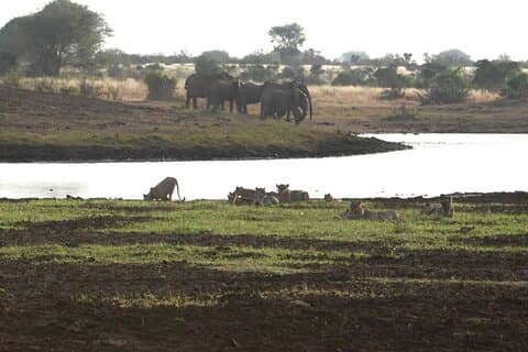 5 Tage Safari nach Tsavo Ost N / P, Tsavo West N / P, Amboseli N / P - Mittlere Reichweite.