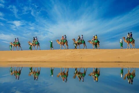Balade à dos de chameau sur la plage de Los Cabos