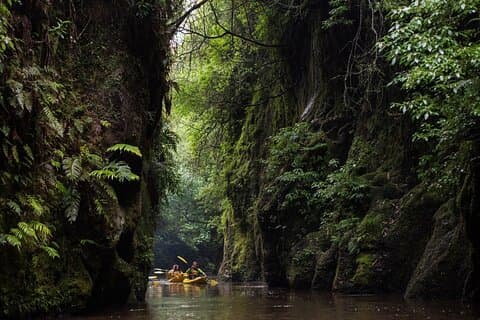 Twilight Glowworm Kayak Tour – Lake Karapiro