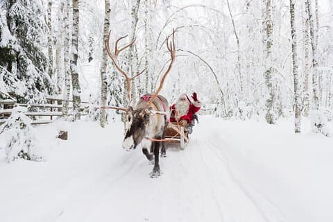 Paseo en trineo de renos y experiencia en la granja de Rovaniemi