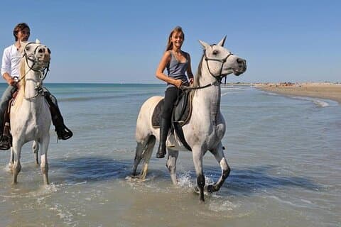 Abenteuersafari mit dem Pferd in Sharm El Sheikh