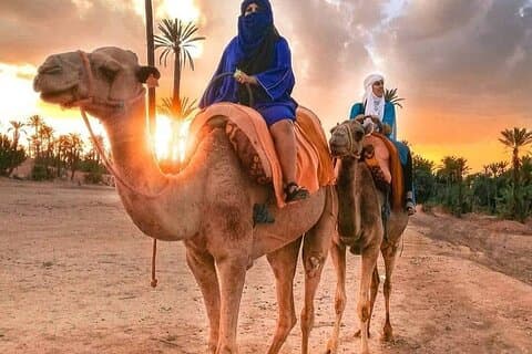 Aventure dans le désert d'Agafay : quad, balade à dos de chameau et dîner