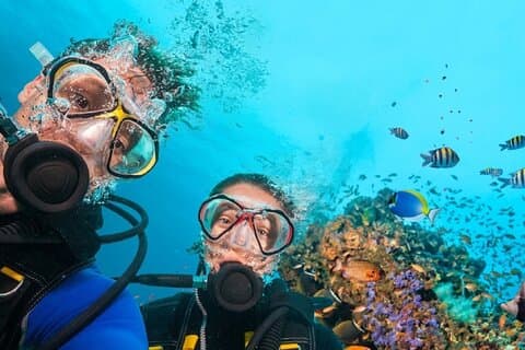 Buceo de día completo en Tulamben Todo incluido