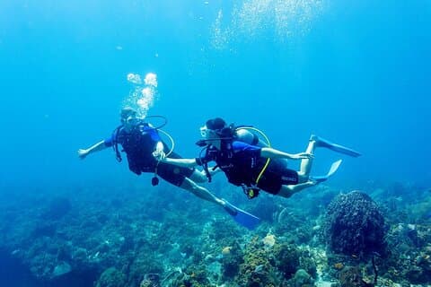 Tulamben Private Fun Dive for Certified Diver at Shipwreck and Coral Garden