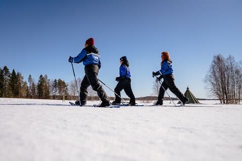 Ciaspolata nella natura artica, Apukka Resort Rovaniemi