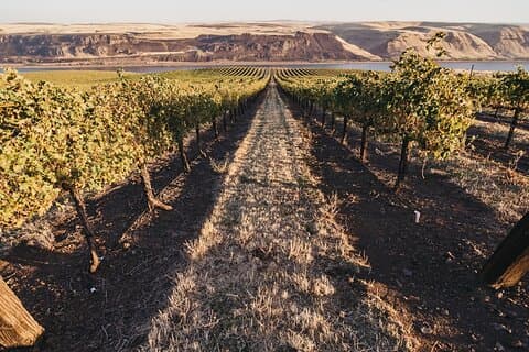 Hurra por Hollywood, Woodinville Winery Pass