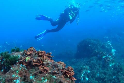 Third Island:Try Scuba in a Shipwreck-Archeological park