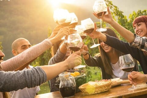 Yarra Valley, Dandenong Ranges Inc. Mittagessen mit Wein plus Morgentee, Schokolade