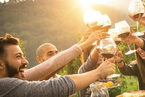 Yarra Valley Wine Tour incluso pranzo con un bicchiere di vino, degustazioni e cioccolato