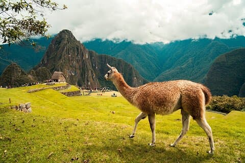 Tour Valle Sagrado Machu Picchu (2 Días)