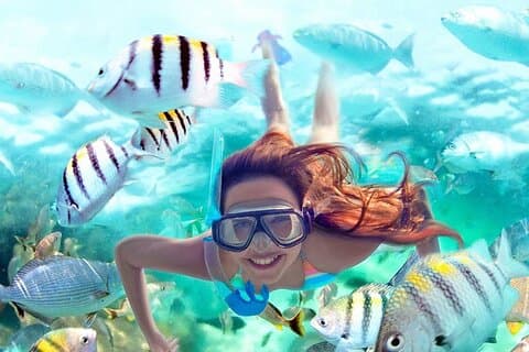 Full-Day ATV + 4 Ziplines + Cenote Swim + Yalkú Snorkeling