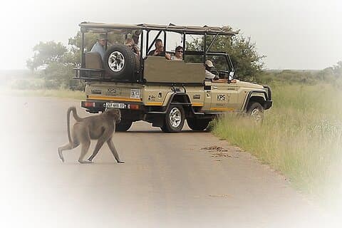 3 Night & 4 Day Private Kruger Park Safari