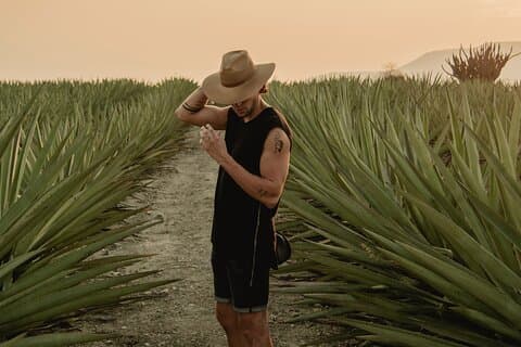 Mezcal-resan