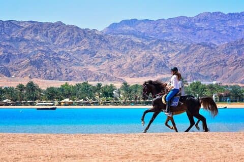 Safari di avventura a cavallo a Dahab a Laguna Beach