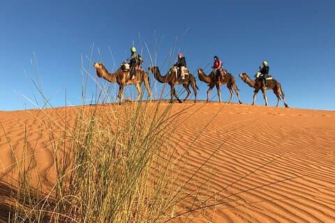 Visite privée de 4 jours dans le désert du Sahara de Fès à Marrakech via Merzouga