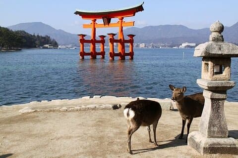 Hiroshima og Miyajima 1-dagers privat tur fra Kyoto eller Osaka