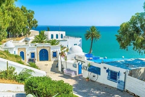 Privétoren: Medina, Carthago, Sidi Bou Saïd, Bardo museum + lunch
