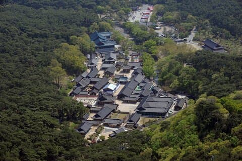 [Hotel Pick-up] Busan Private UNESCO Tongdosa & Gourmet Day Tour