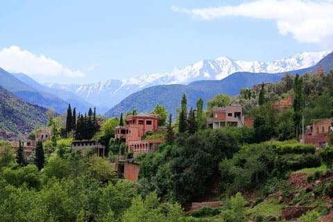 Från Marrakech: Dagstur till Ourika Valley Atlasbergen