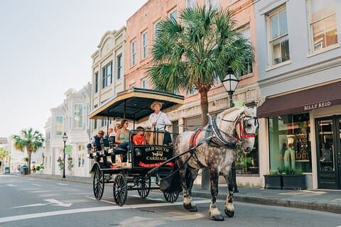 Visite historique à cheval et en calèche du Vieux-Sud de Charleston
