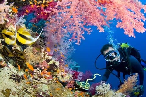 Hurghada Diving Adventure tur