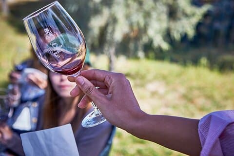Descubre el origen del Vino Tinto en Ribera del Duero- Cata de vinos