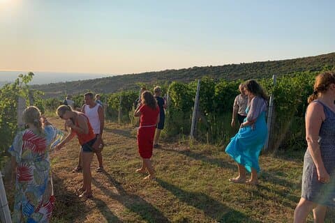 Tour de um dia privado a partir de Tirana: Durres, Ardenica e degustação de vinhos