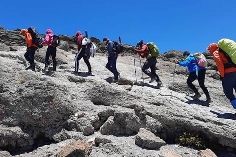 Privat 8-dages Kilimanjaro Trek på Lemosho-ruten fra Moshi