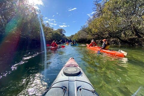 Adelaide Dolphin Sanctuary en Ships Graveyard Kayak Tour