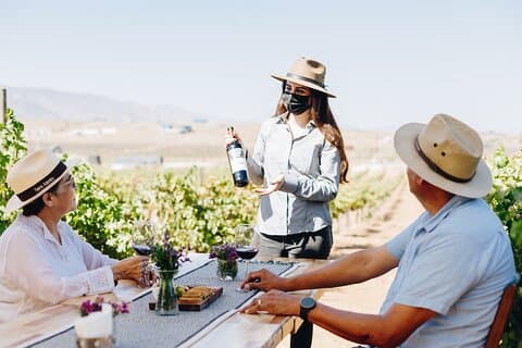 Wine Tasting Among Vineyards with Panoramic Views of the Valley