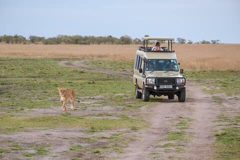 4 days Tanzania Wildlife, Materuni Waterfalls and Chemka Hot-spring &Coffee Tour