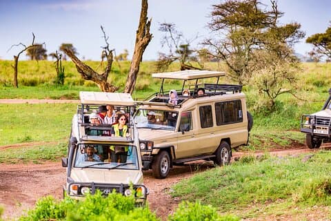 5-daagse privésafaritour en Maasai-dorp Bezoek Tanzania