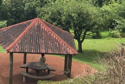 Excursion to Furnas and Nordeste with Cozido das Furnas
