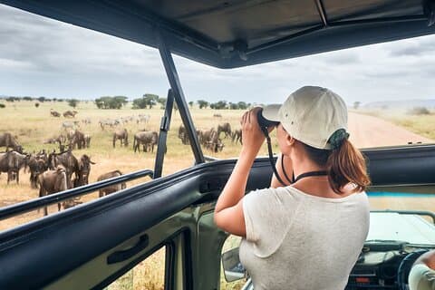 4 Tage Private Lodge Safari Tour Tansania