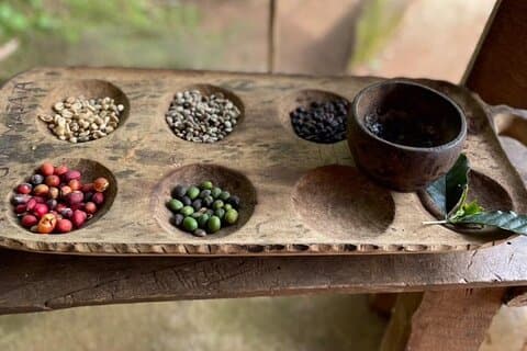 Private Tour zu den Marangu-Wasserfällen, Chagga-Höhlen, Kaffeetour und heißen Quellen