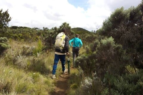 Excursión de un día al Monte Kilimanjaro, cultura Chagga y experiencia local