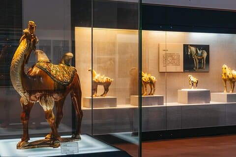 Luoyang museum og Luoyang City privat dagstur
