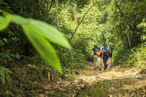 Phuket Jungle Trekking Experience i Khao Phra Taew nasjonalpark