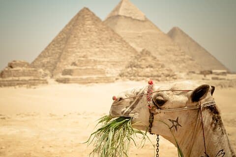 Tour Visit Giza Pyramids, old Egyptian Museum From Bahariya Oasis