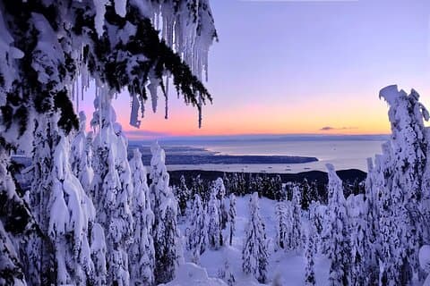 Snowshoeing In Vancouver's Winter Wonderland