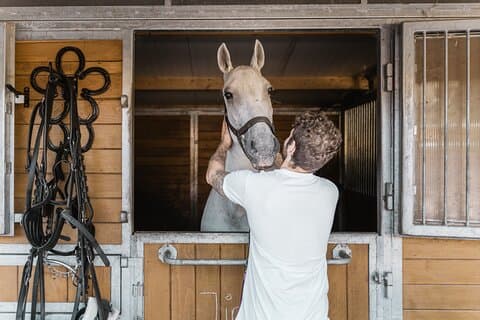 Omvisning med hest og vogn i Wien