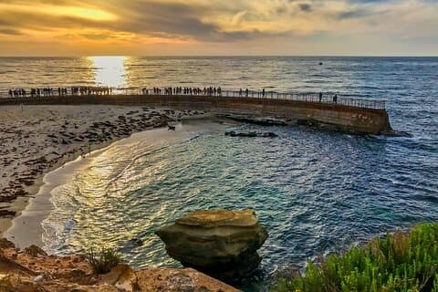 Ultimate La Jolla Self-Guided Driving & Walking Audio Tour Bundle
