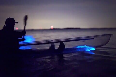 Clear Kayak Bioluminescentie Tour - Cocoa Beach