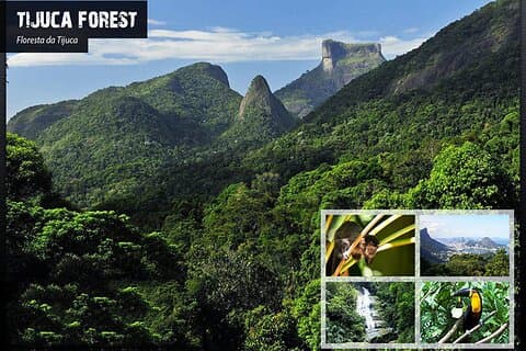 Tijucas nationalpark - Ekovandringstur