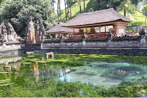 Evidenzia il tempio di Ubud, la terrazza del riso inclusa la cascata