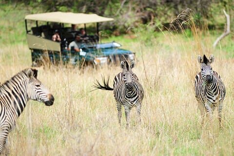 Hwange Dagstur